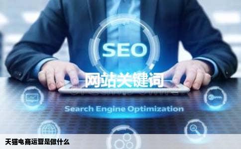 天猫电商运营是做什么