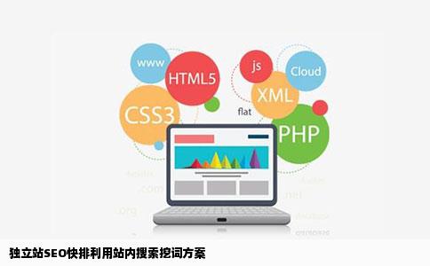 独立站SEO快排利用站内搜索挖词方案