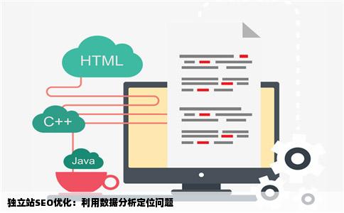 独立站SEO优化：利用数据分析定位问题