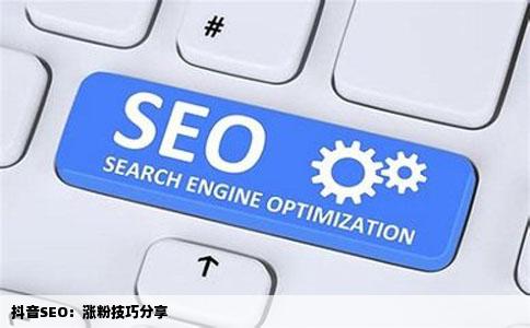 抖音SEO：涨粉技巧分享