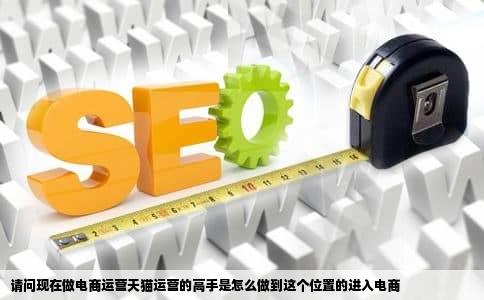 请问现在做电商运营天猫运营的高手是怎么做到这个位置的进入电商