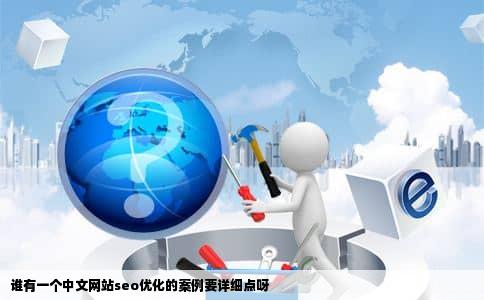 谁有一个中文网站seo优化的案例要详细点呀