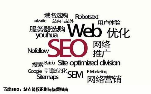 百度SEO：站点降权识别与恢复指南