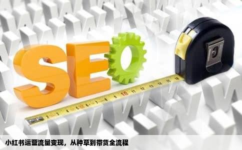 小红书运营流量变现，从种草到带货全流程