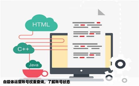 自媒体运营账号权重查询，了解账号状态