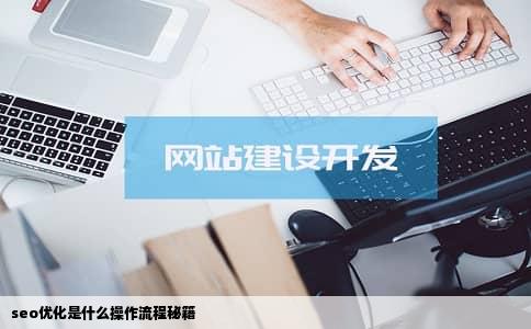 seo优化是什么操作流程秘籍