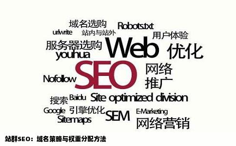 站群SEO：域名策略与权重分配方法
