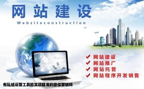 有私域运营工具能实现精准的微信营销吗