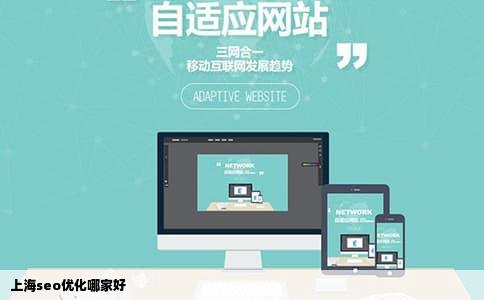 上海seo优化哪家好
