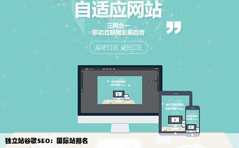 独立站谷歌SEO：国际站排名