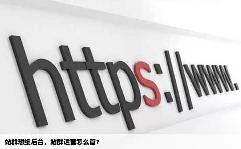 站群想统后台，站群运营怎么管？