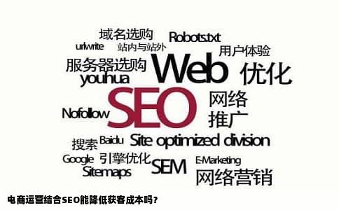 电商运营结合SEO能降低获客成本吗？