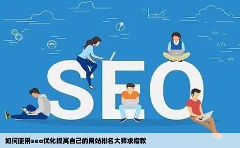 如何使用seo优化提高自己的网站排名大师求指教