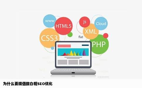 为什么要提倡做白帽SEO优化