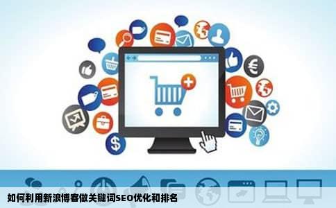 如何利用新浪博客做关键词SEO优化和排名