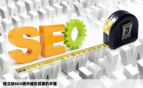独立站SEO提升域名权重的步骤