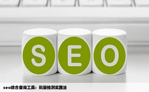 seo综合查询工具：批量检测实践法