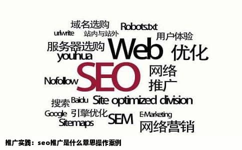 推广实践：seo推广是什么意思操作案例
