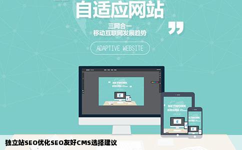 独立站SEO优化SEO友好CMS选择建议