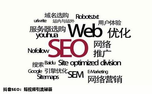 抖音SEO：短视频引流秘籍