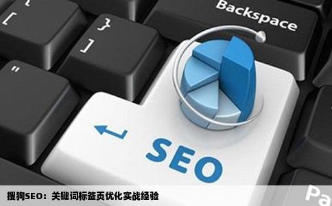 搜狗SEO：关键词标签页优化实战经验