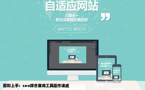 即刻上手：seo综合查询工具操作速成