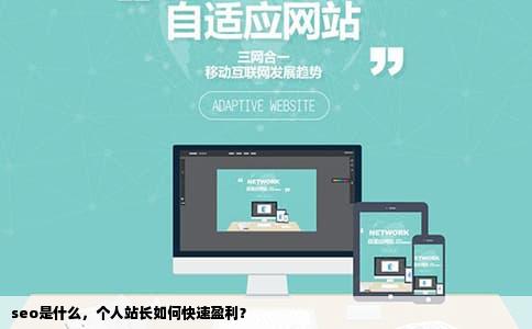 seo是什么，个人站长如何快速盈利？