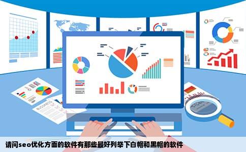 请问seo优化方面的软件有那些最好列举下白帽和黑帽的软件