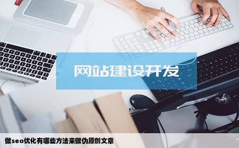 做seo优化有哪些方法来做伪原创文章