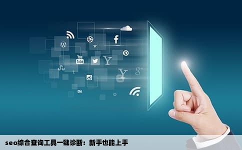 seo综合查询工具一键诊断：新手也能上手