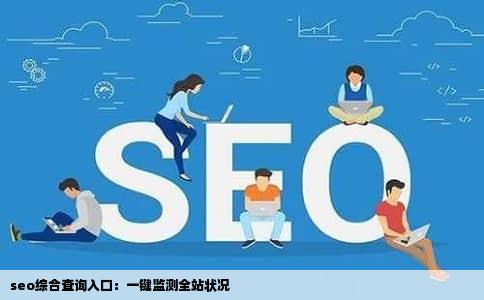 seo综合查询入口：一键监测全站状况