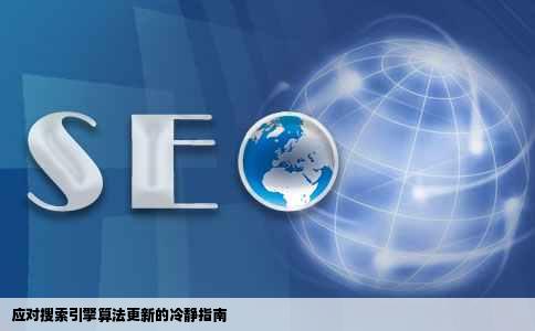 应对搜索引擎算法更新的冷静指南