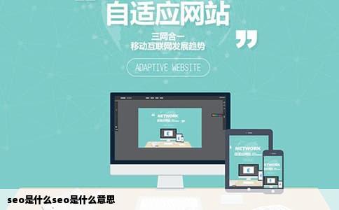 seo是什么seo是什么意思
