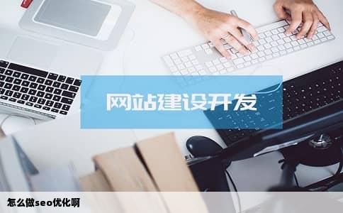 怎么做seo优化啊