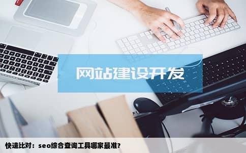 快速比对：seo综合查询工具哪家最准？