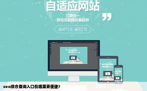 seo综合查询入口在哪里更便捷？
