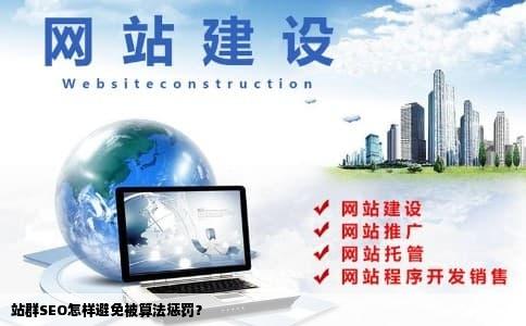 站群SEO怎样避免被算法惩罚？