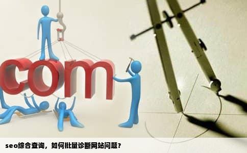 seo综合查询，如何批量诊断网站问题？