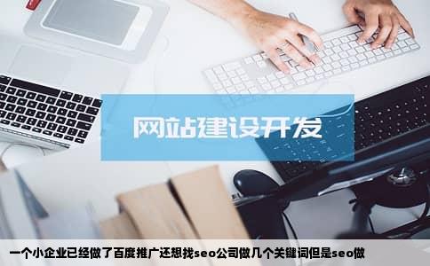 一个小企业已经做了百度推广还想找seo公司做几个关键词但是seo做
