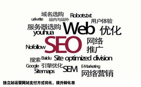 独立站运营网站支付方式优化，提升转化率