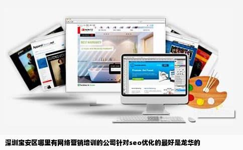 深圳宝安区哪里有网络营销培训的公司针对seo优化的最好是龙华的