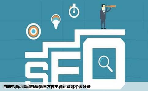 自助电商运营和托管第三方做电商运营哪个要好些