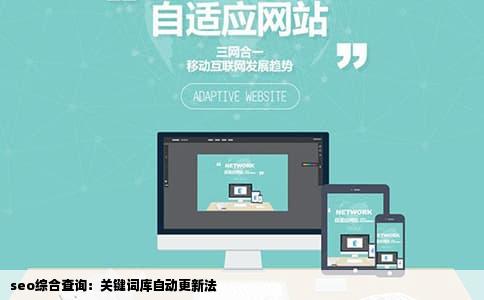 seo综合查询：关键词库自动更新法