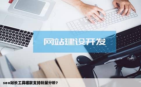 seo站长工具哪款支持批量分析？