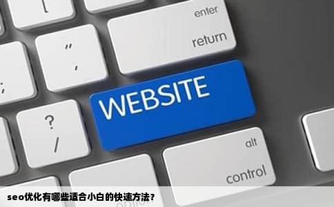 seo优化有哪些适合小白的快速方法？