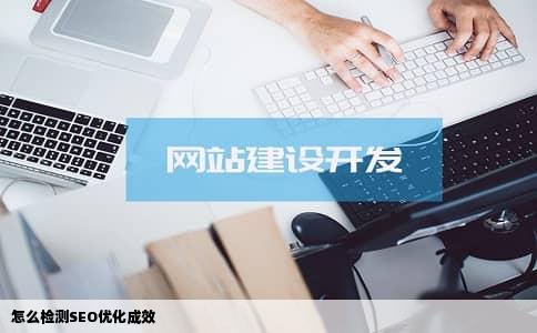 怎么检测SEO优化成效
