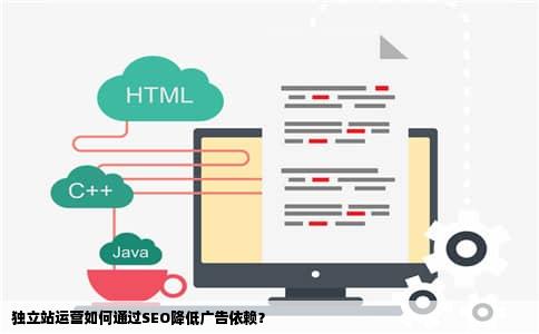 独立站运营如何通过SEO降低广告依赖？