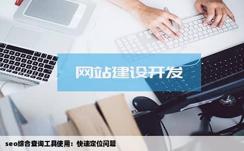 seo综合查询工具使用：快速定位问题