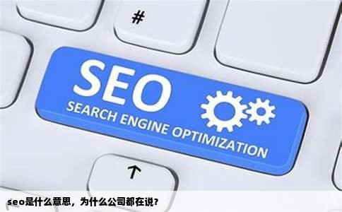 seo是什么意思，为什么公司都在说？