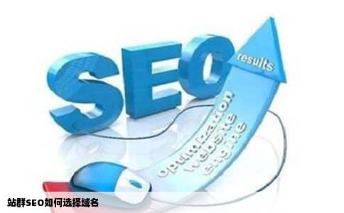 站群SEO如何选择域名
